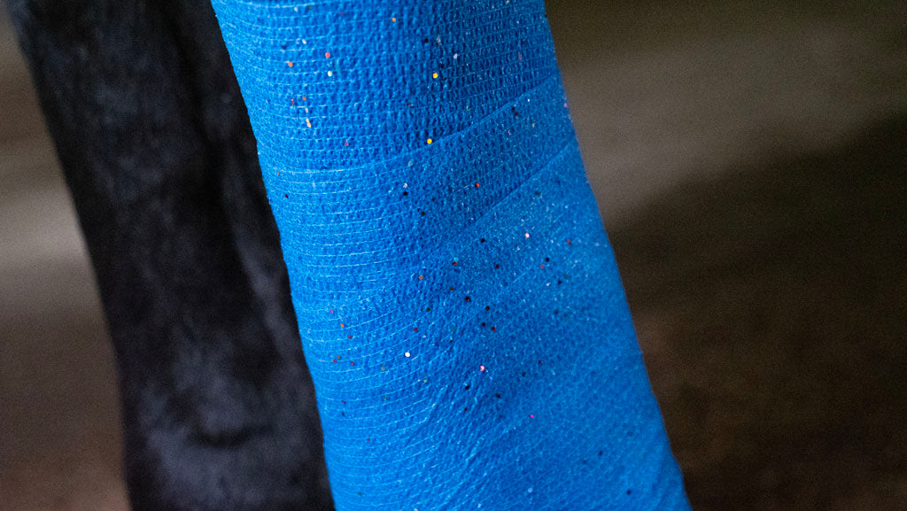 Excellent Animal Glitter Bandage Pro, selbstklebend, elastisch, 10 cm, blau