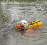 Chuckit! Hundespielzeug Amphibious Bumper, S, Ø 4 cm x 18 cm