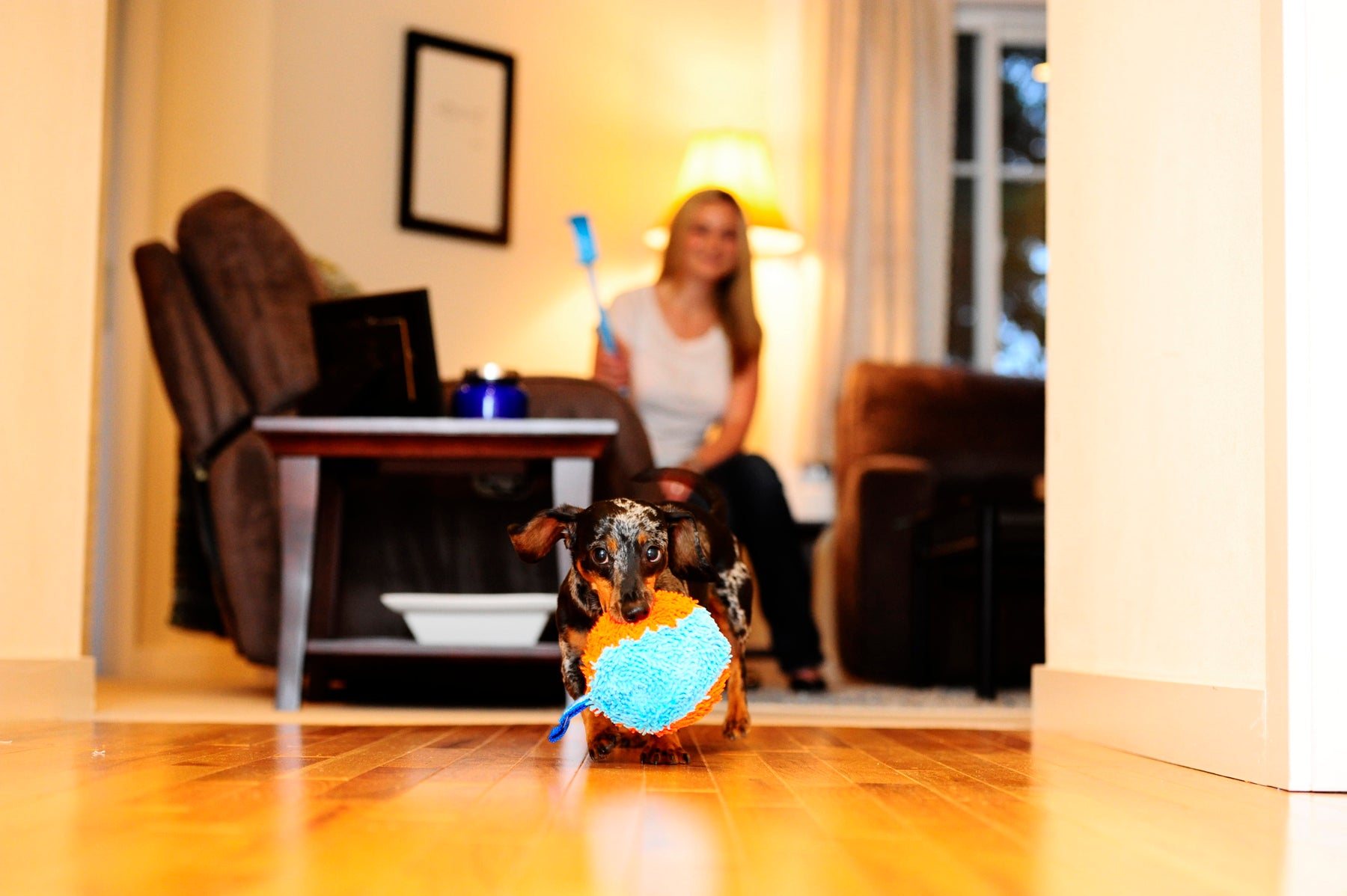 Chuckit! Indoor Shaker Hundespielzeug, 11,5 x 13 x 20 cm
