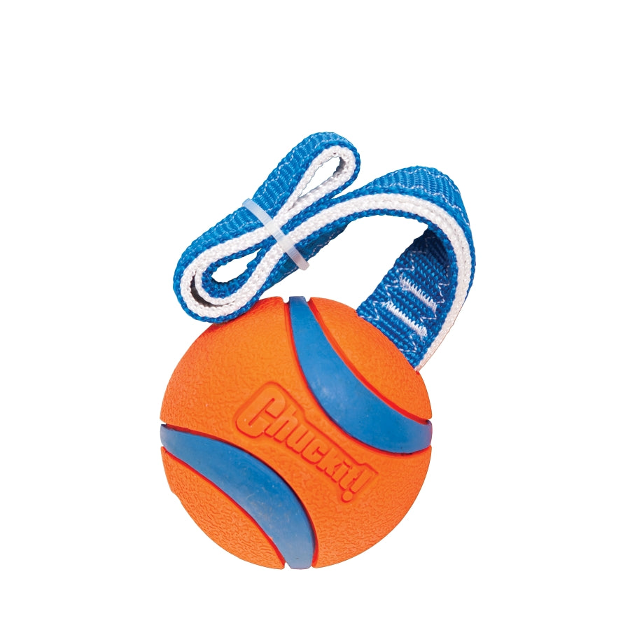 Chuckit! Ultra Tug, Hundespielzeug, Größe L, Ø 7 cm