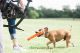 Chuckit! Air Fetch Stick, Weichgummi, 31 cm