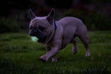 Chuckit! Air Glow Fetch Ball, M, Ø 6 cm, leuchtend, schwimmfähig, 2 Stk
