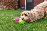 Dog Comets Igelball, Ø 10,5 cm, rosa, mit Quietscher