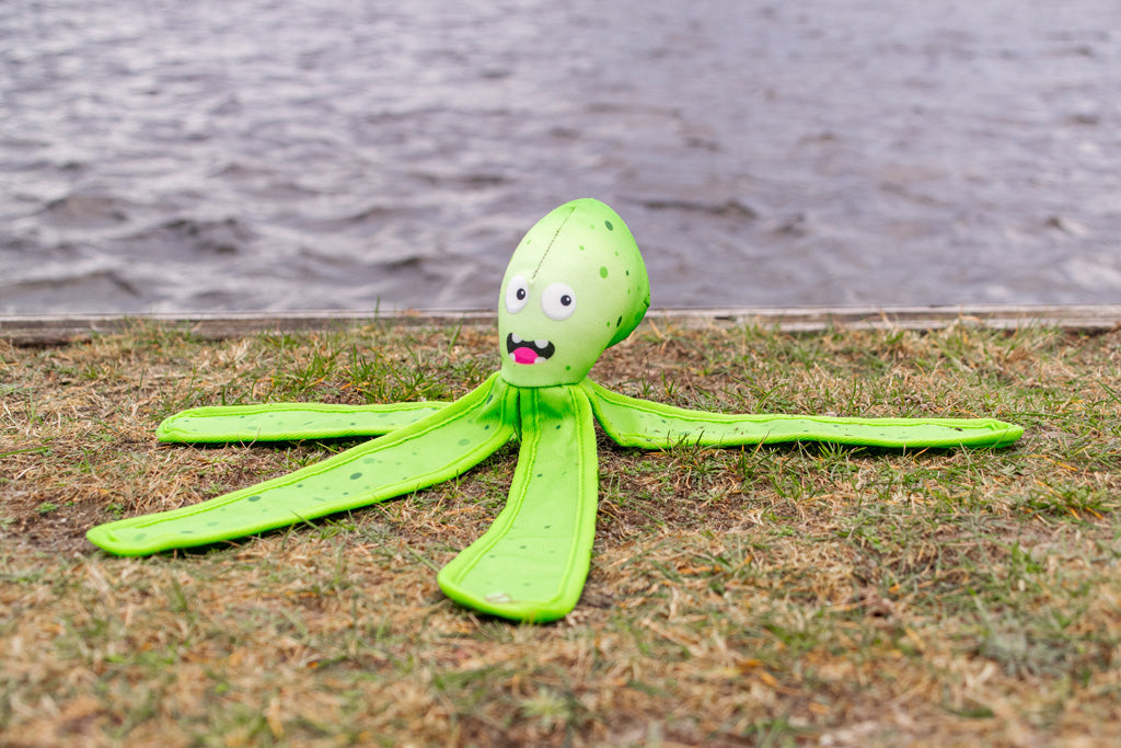 Dog Comets Hundespielzeug Octo, Segeltuch, Quietscher, schwimmfähig, L, 37 cm, grün