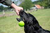 Dog Comets Wurfstock Gummi, mit Quietscher, L, 32 cm, rosa