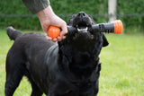 Dog Comets Wurfstock Meteor, Gummi, Orange, L, 32 cm