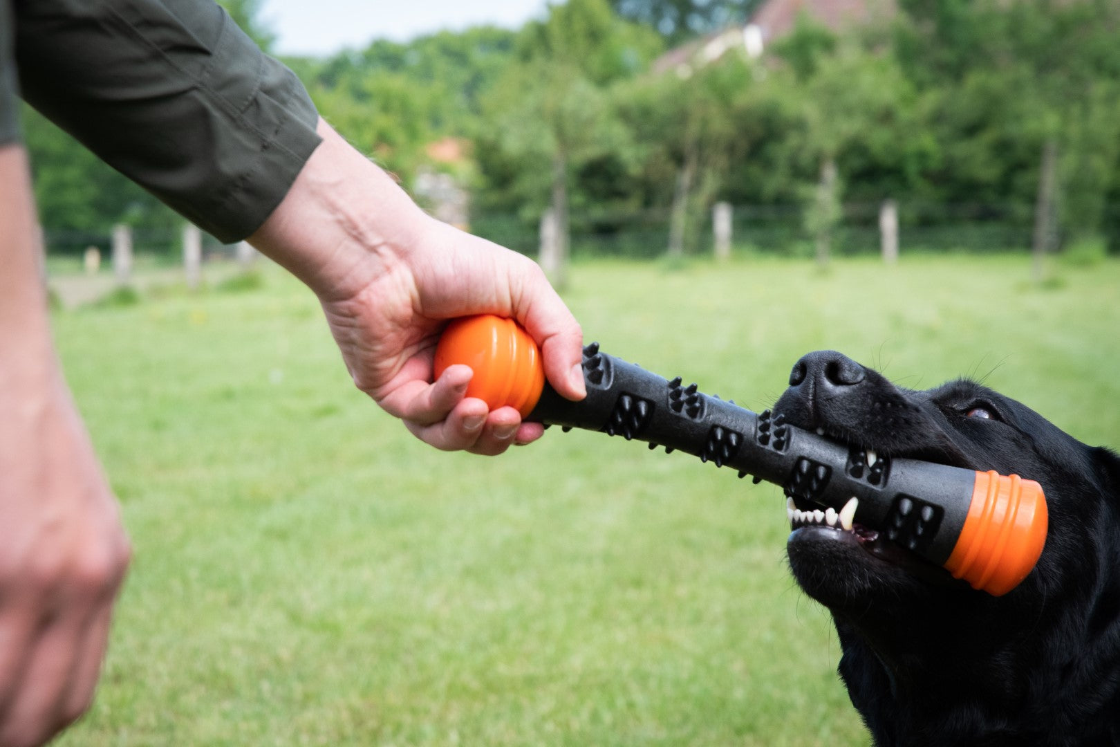 Dog Comets Wurfstock Meteor, Gummi, Orange, L, 32 cm