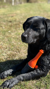 Dog Comets Apportierspielzeug Bobber, TPR-Schaumstoff, grün, 23 cm, Ø 6,2 cm