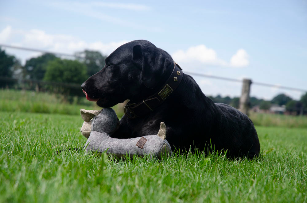 Country Dog Hundekuscheltier Buddy, recycelter Kunststoff, Leinenstoff