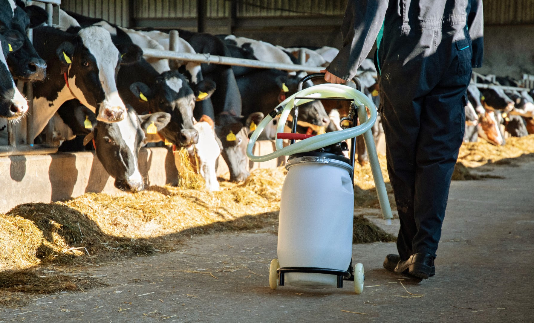 Excellent Cow Drencher Wagen, mobil, mit Halter, Höhe 100 cm