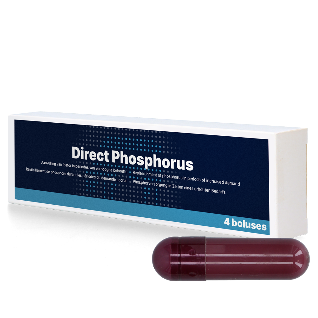 Direct Phosphorus für Kühe nach dem Abkalben, 4 x 123 g