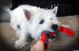 Dogzilla Hundespielzeug, Tug Dino, XL, 17,5 cm