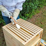My Little Farm - Bienenstock Starterset ‚Königin‘