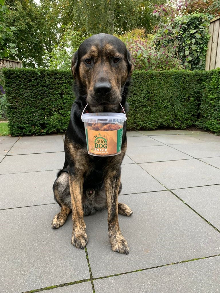 Duo Dog Hunde Snacks, Pferdefett, hypoallergen, 350 g