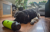 Eat Slow Live Longer Futter- und Snack-Roller L, 23 x Ø 8 cm