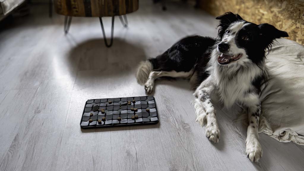 Eat Slow Live Longer Leckmatte aus Silikon mit Blumen-Design für Hund und Katze