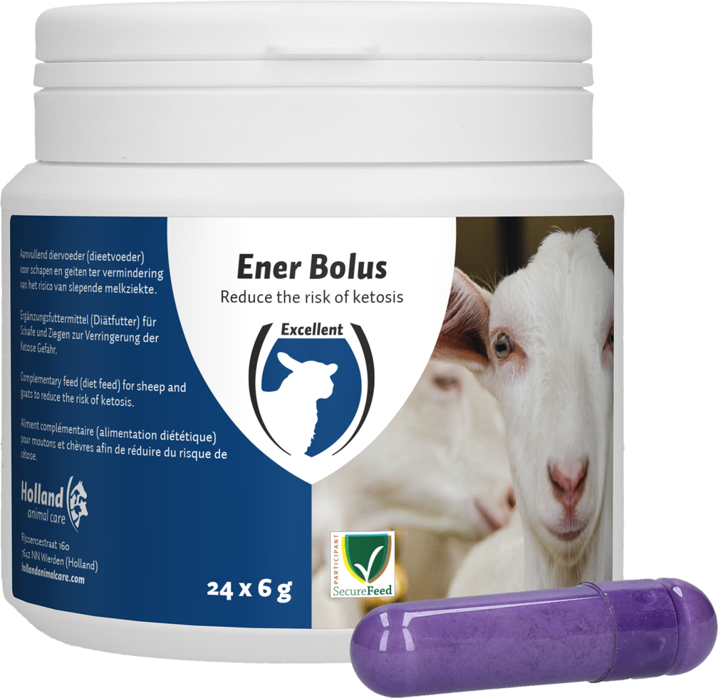 Excellent Ener Bolus für Schaf und Ziege, 24 Stück