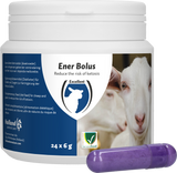 Excellent Ener Bolus für Schaf und Ziege, 24 Stück