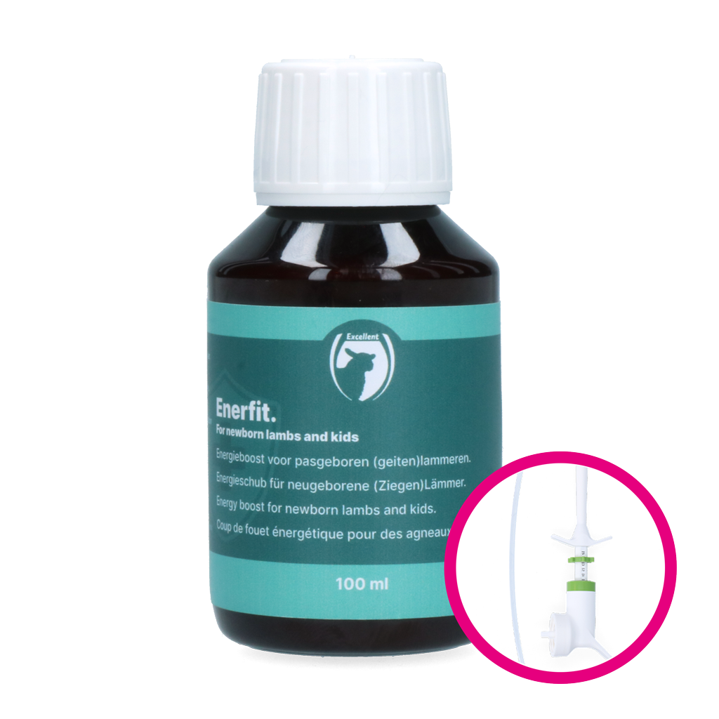 Excellent Enerfit, Ergänzungsfuttermittel für Lämmer und Ziegenlämmer, 100 ml