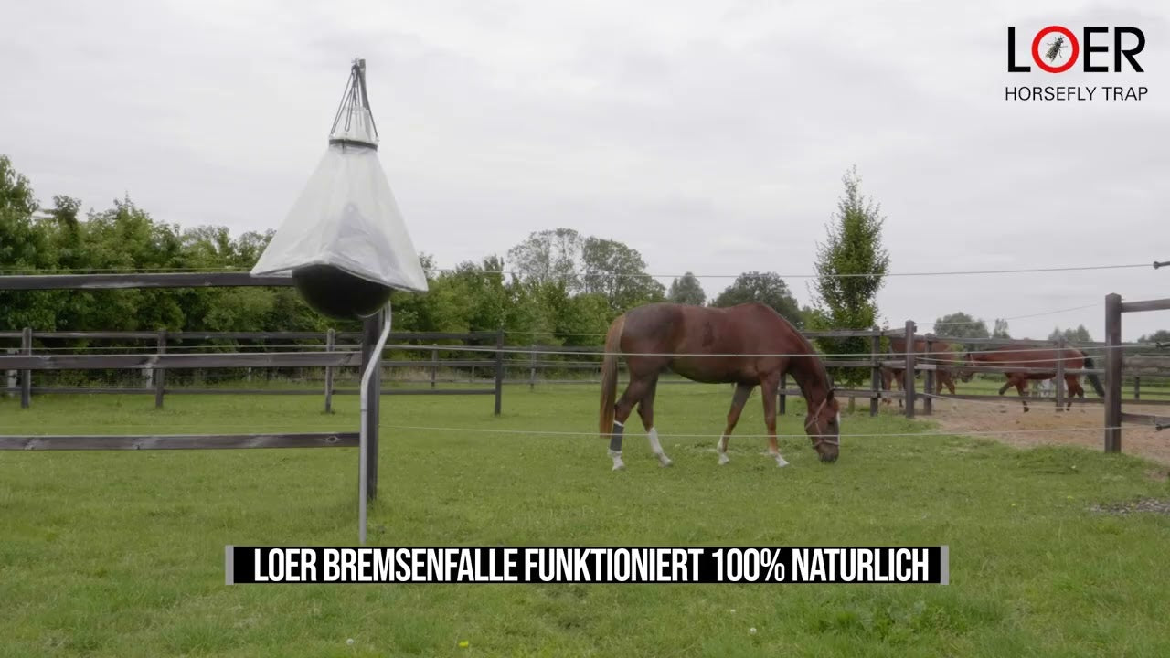 Loer Bremsenfalle komplett