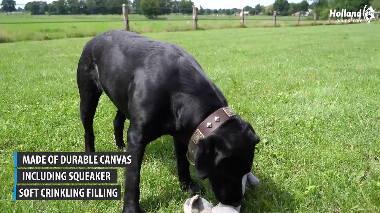 Country Dog Hundespielzeug Kuscheltier, Tiny Manny, für kleine Hunde