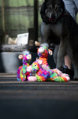 Hundespielzeug Pferd, FantaZoo, L, 32 x 16 cm, mit Quietscher, recyceltes Material