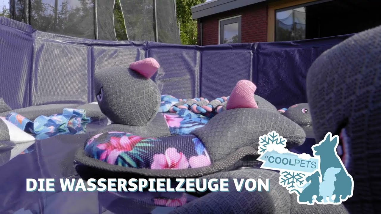 CoolPets Pull Me! Fishy Flower Hundespielzeug, schwimmfähig