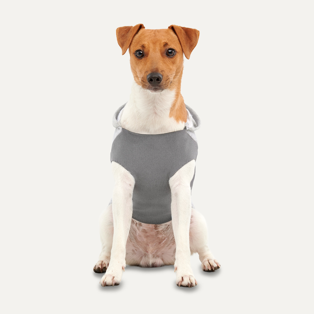 Goo-eez Hundepullover Fleece Hoodie, S, grau, Rückenlänge 40 cm, Brustumfang 48–56 cm