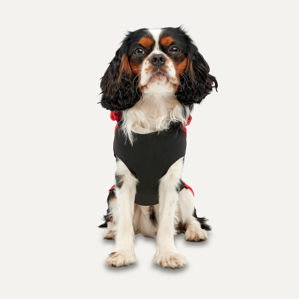 Goo-eez Hundepullover Fleece, Kangaroo, Größe L, Rot/Schwarz