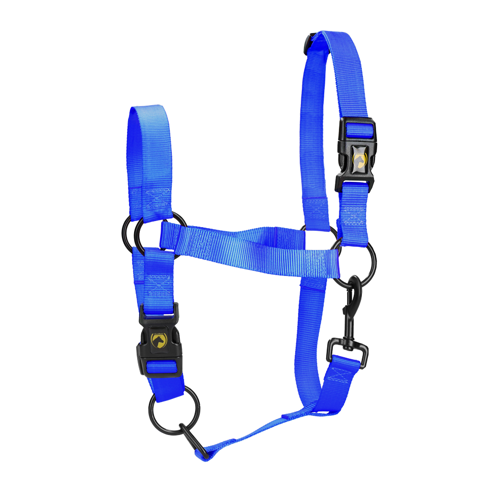 Excellent Halfter, Nylon, Blau, Pony, Größe M