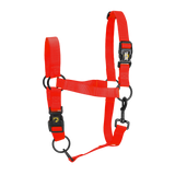 Excellent Essential Halfter, Pony, rot, M