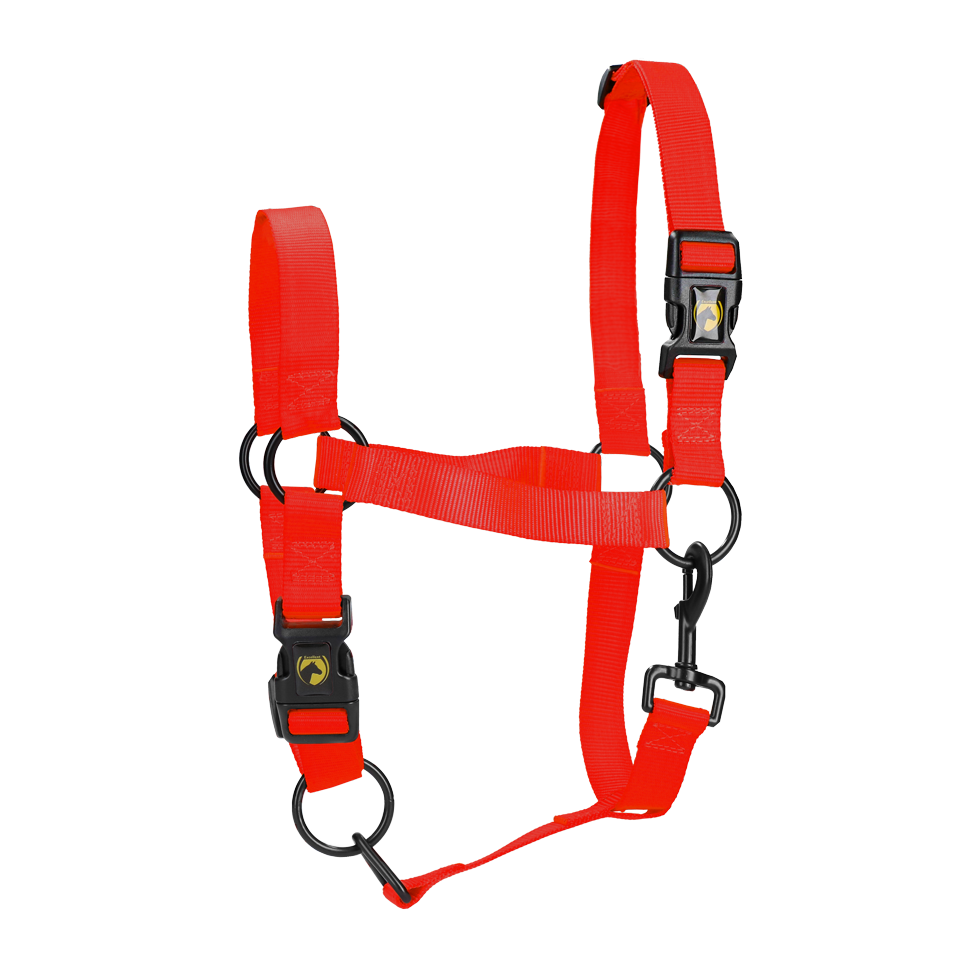 Excellent Essential Halfter, Rot, Größe L