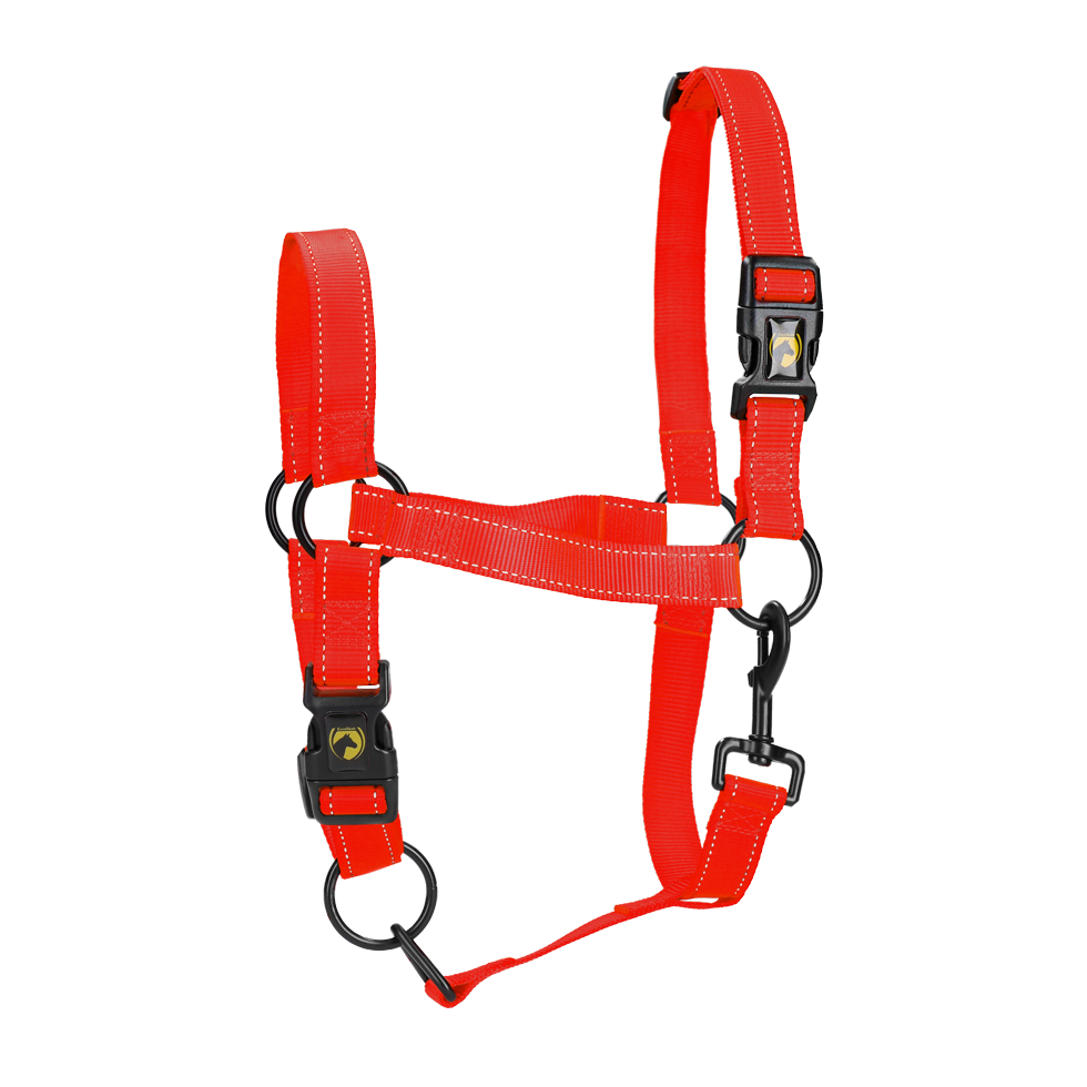 Excellent Halfter, Nylon, Quick Release bis 200 kg, reflektierend, Rot, S