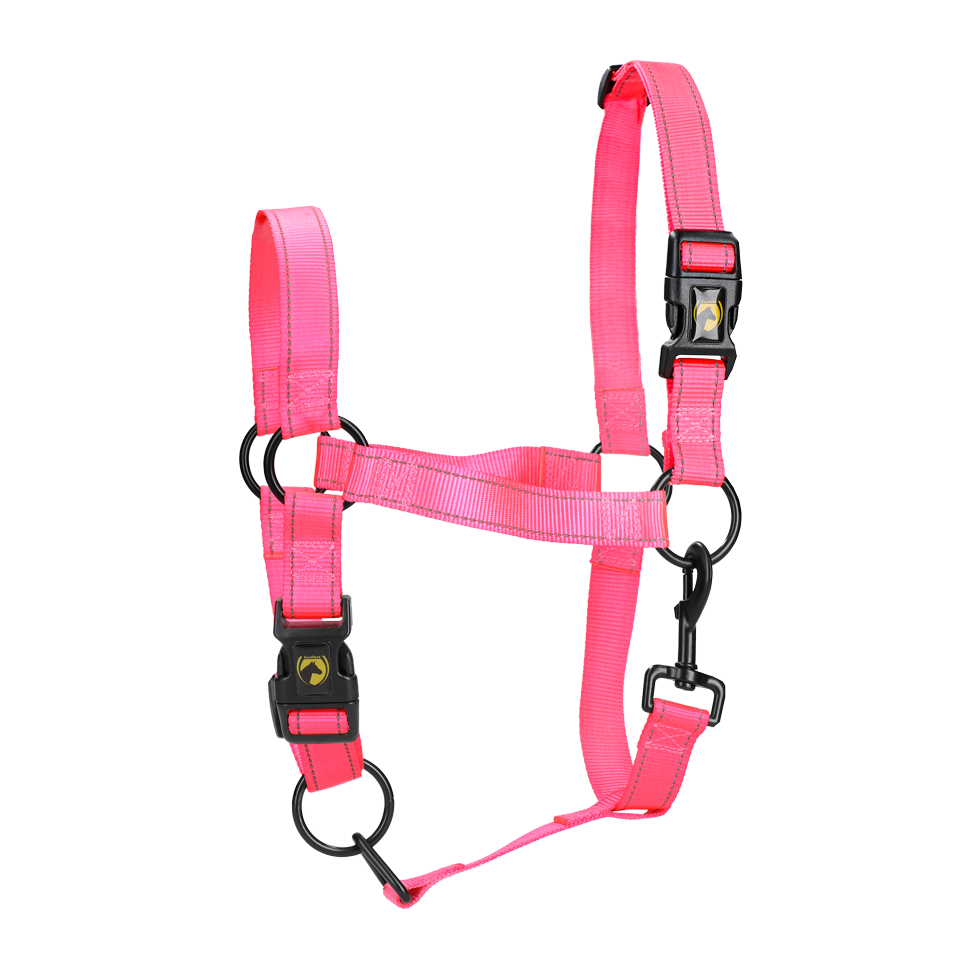 Excellent Halfter, Nylon, Quick Release, reflektierend, rosa, Größe M, für Pony