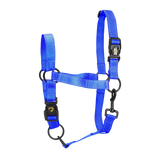 Excellent Halfter, Premium, Blau, XL