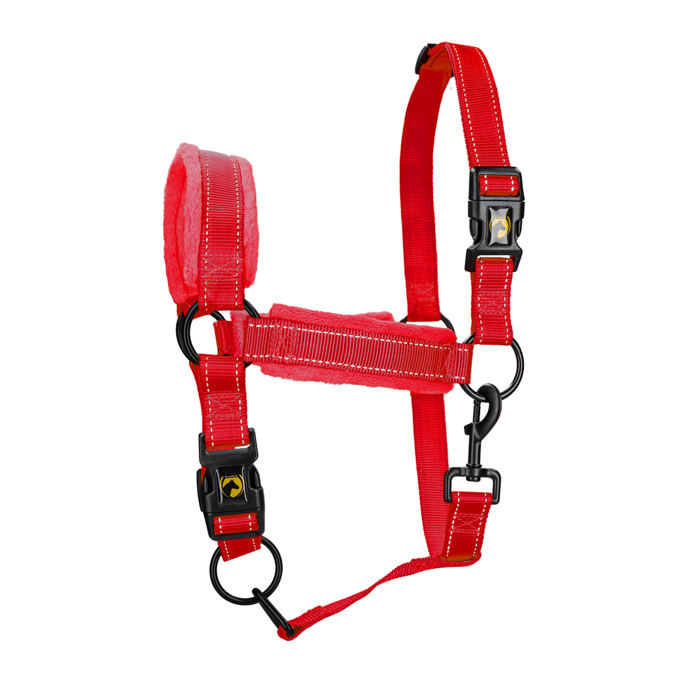 Excellent Superior Halfter M für Ponys Nylon mit Fleece und reflektierendem Design