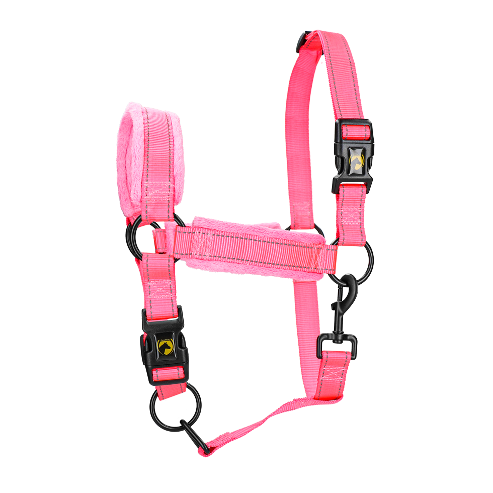 Excellent Superior Halfter M für Ponys Nylon mit Fleece und reflektierendem Design
