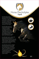 Excellent Horse Elektrolyte Liquid für Pferde, 1 l