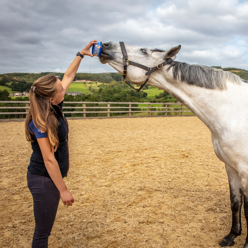 Horslyx Mini Original Leckstein, Pferd, 650 g