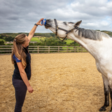 Horslyx Mini Original Leckstein, Pferd, 650 g