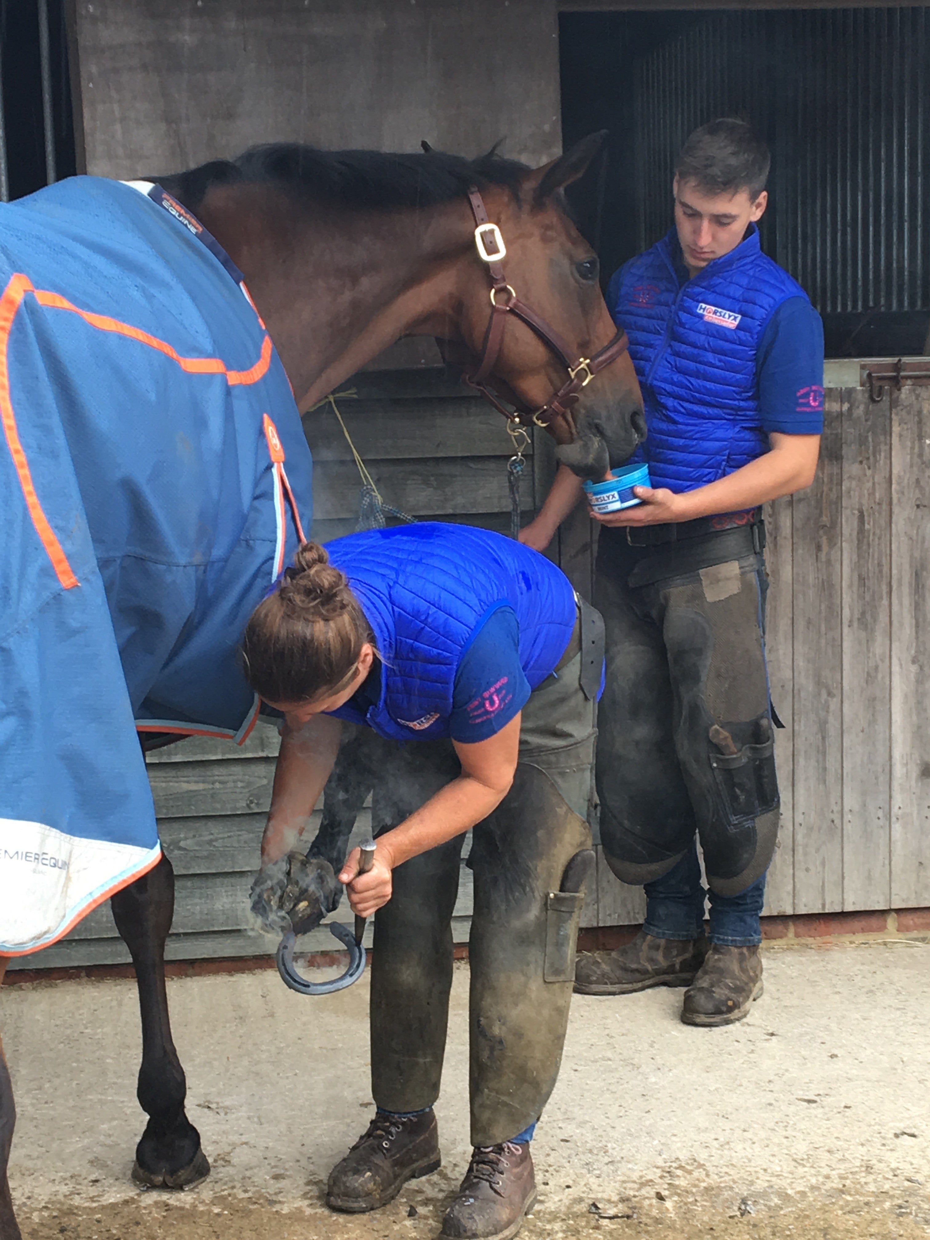 Horslyx Mini Mint Leckstein, Pferd, 650 g