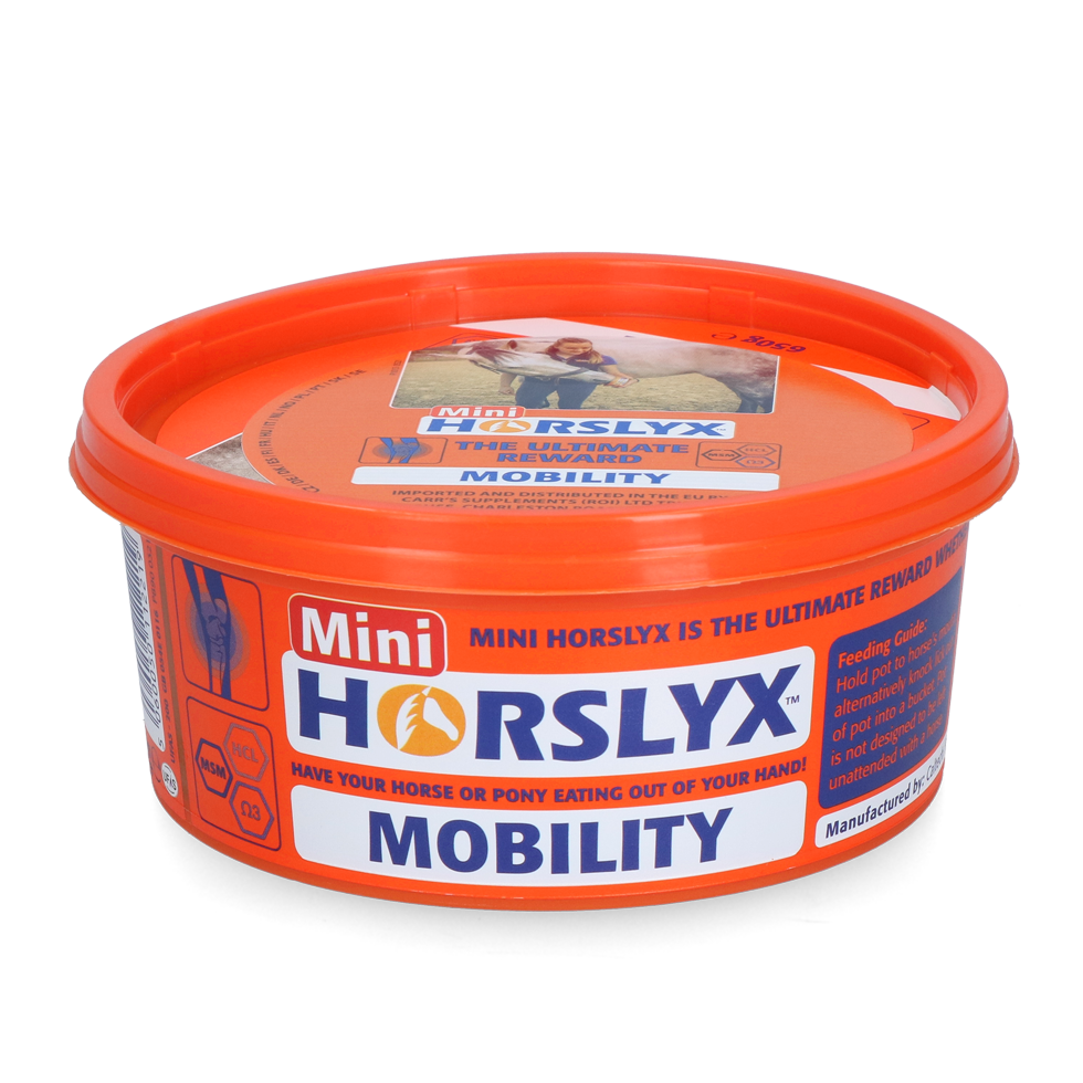 Horslyx Mini Mobilität Leckstein, Pferd, 650 g