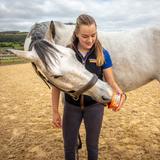 Horslyx Mini Mobilität Leckstein, Pferd, 650 g