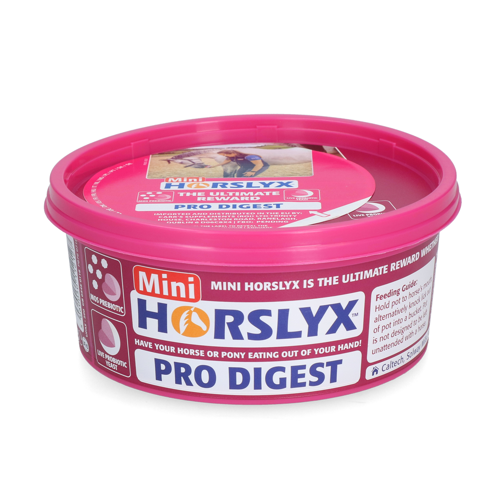 Horslyx Leckstein Mini Verdauung, 650 g