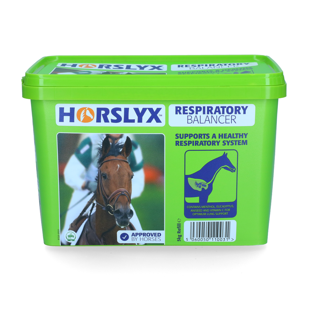 Horslyx Leckstein Pferd, Respiratory Balancer, 5 kg
