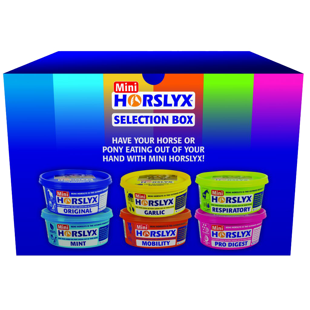 Horslyx Mini Leckstein Selection Box, 6 Sorten, 6 x 650 g
