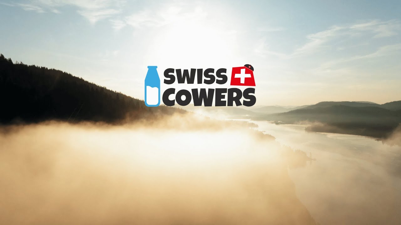 SwissCowers Hundesnack Käsestange Original Rezeptur 80g