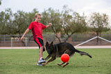 Jolly Pets Hundeball, Jollyflex, schwimmfähig, Vanilleduft, orange, Ø 15 cm