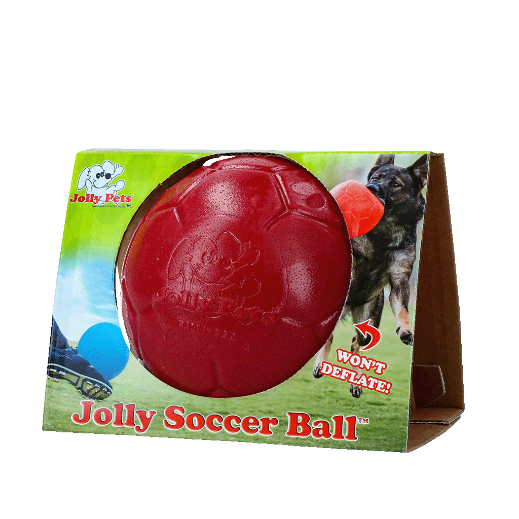 Jolly Pets Hundeball, schwimmfähig, rot, Ø 15 cm