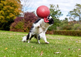 Jolly Pets Hundeball Tug-n-Toss, Heidelbeere, Vanilleduft, Ø 15 cm